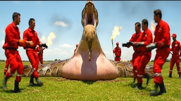 Brave Heroes Save Poor Small Camel from Giant Python’s Terrifying Attack 🐍