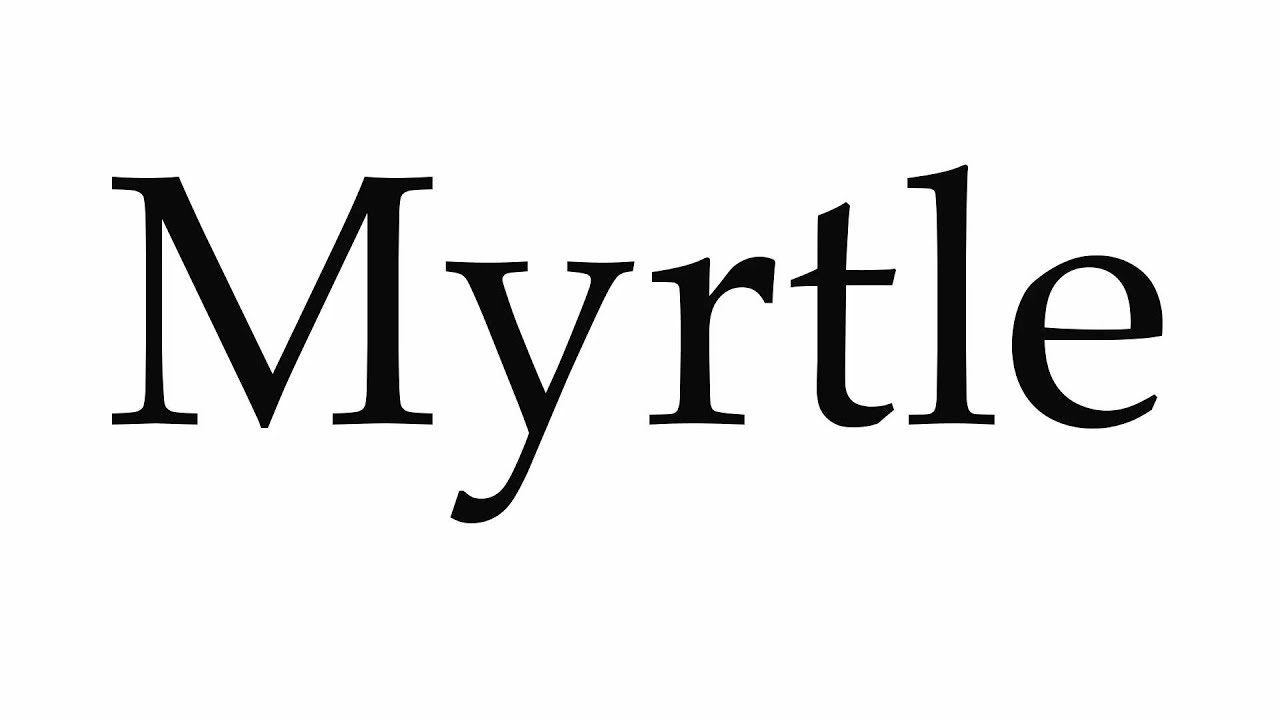 Jet Skiing in Myrtle Beach