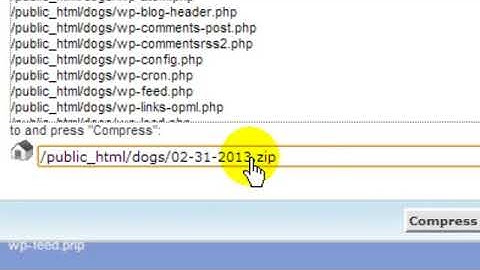 Lesson 14 -  cPanel Backup & Restore