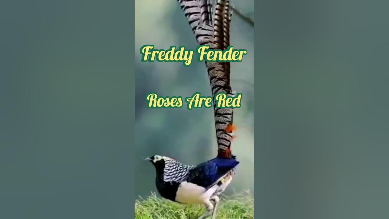 Freddy Fender - Roses Are Red Freddy Fender - Roses Are Red