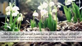 (إن الله فالق الحب والنوى ...) تلاوة نجدية من سورة الأنعام للقارئ محمد البخيت