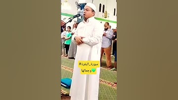 #سورة_البقرة #قرآن #المصحف #اكسبلور تلاوة جميلة 💚