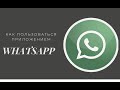 Как пользоваться приложением WhatsApp. Часть 1