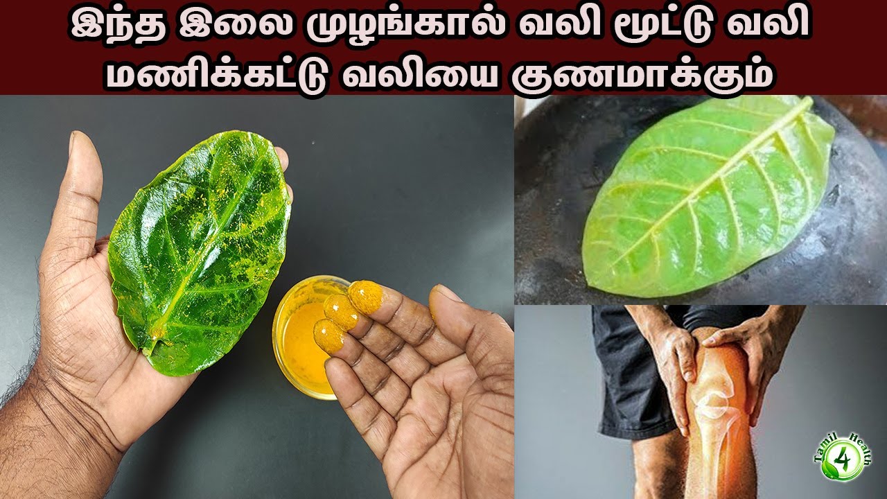 This leaf is a joint pain home remedy to reduce joint pain knee pain wrist pain fast