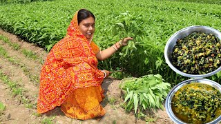 জমির টাটকা কলমি শাক দিয়ে বানিয়ে নিলাম দুটি লোভনীয় রেসিপি ll Fresh Water Spinach Recipe in Bengali