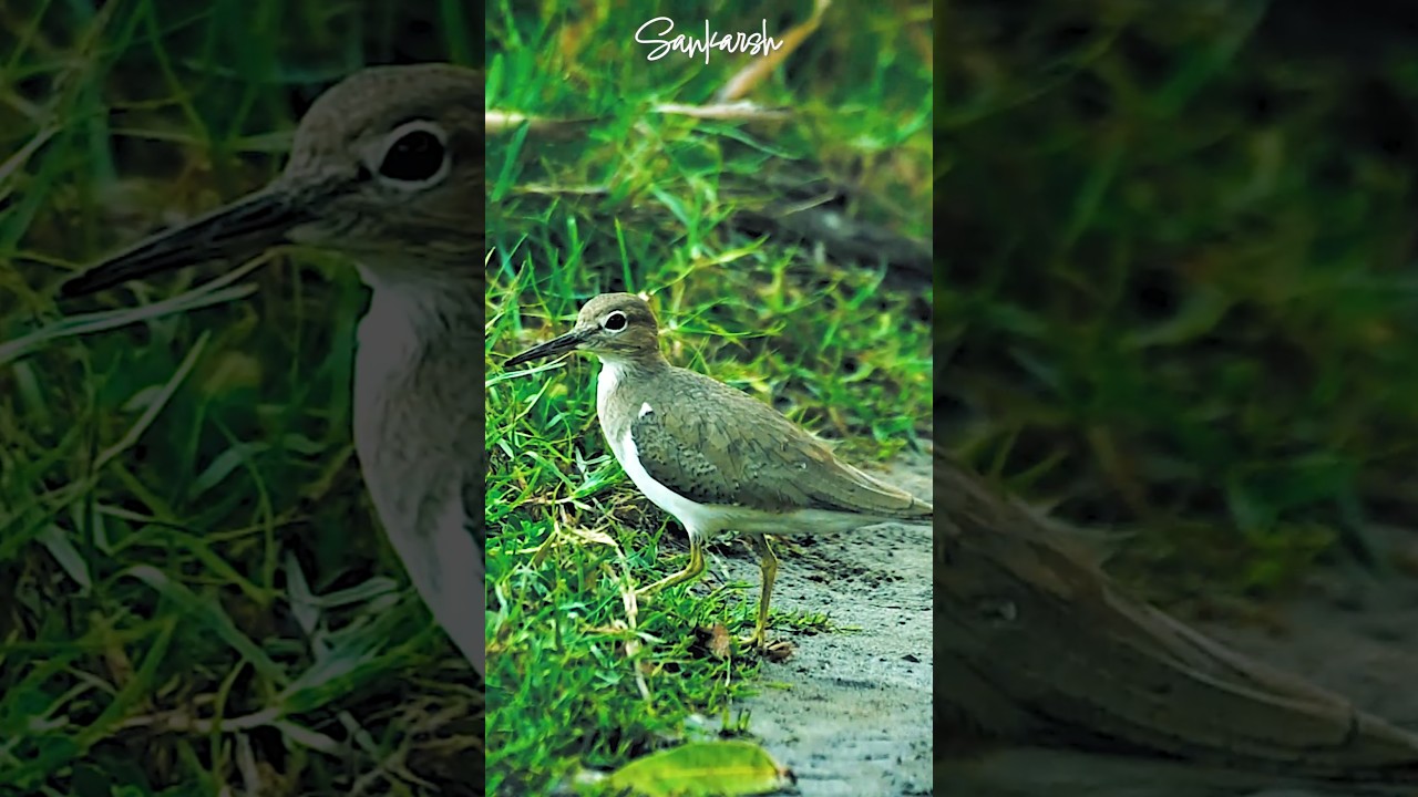 Dance like no one's watching 