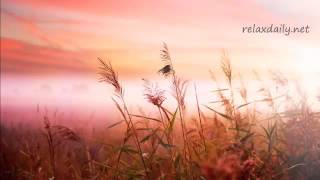 Background Music Instrumentals relaxdaily B Sides N°1 YouTube 360p