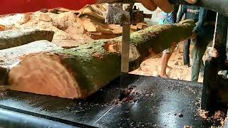 Amazing Woodworking factory you must see ,, Indonesia sawmill machine & processing large tree