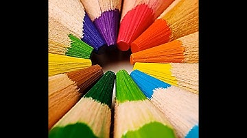 EnVision Math Grade 2 Lesson 12-6 | Centimeters and Meters