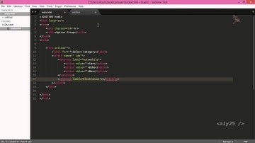 html   select option grouping with optgroup tag