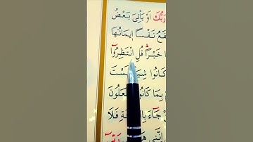 سورة الأنعام الأية 158 إلى 159 القارئ سعد الغامدي