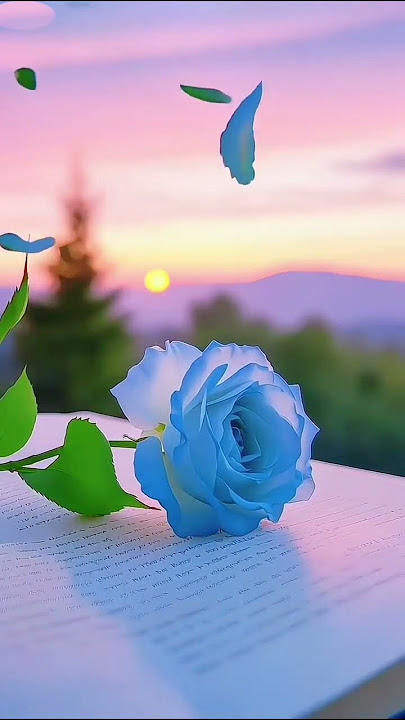 066a46b9827d5b7a8754dd0b2c6a3e9d 720w#nature love #status