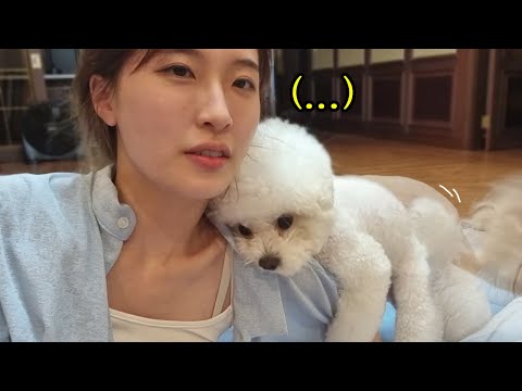 <strong>소금이가</strong> 성(性)에 눈을 떴습니다