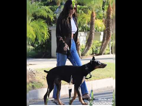 Kendall Jenner with her dog 🐕 Pyro - YouTube