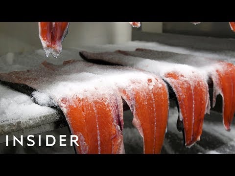 Video: Nova Salmon sağlamdırmı?