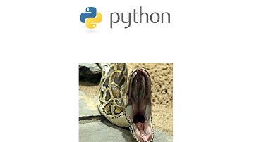 python 13 - słowniki
