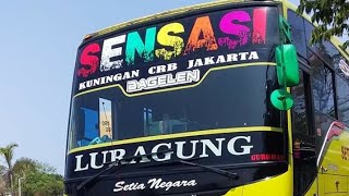Trip Report Bus Setia Negara SENSASI mulai memanas di jalur pantura vs Ganas Jalibang