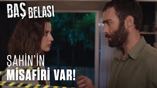 Şahin&#39;in misafiri var! - Baş Belası