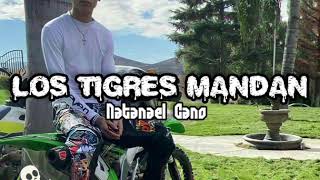 Natanael Cano ⛔ Los Tigres Mandan (LETRA)