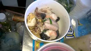 WP 20151113 007