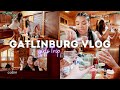 VLOG | L!T GIRLS TRIP TO GATLINGBURG | *snowy cabin trip*