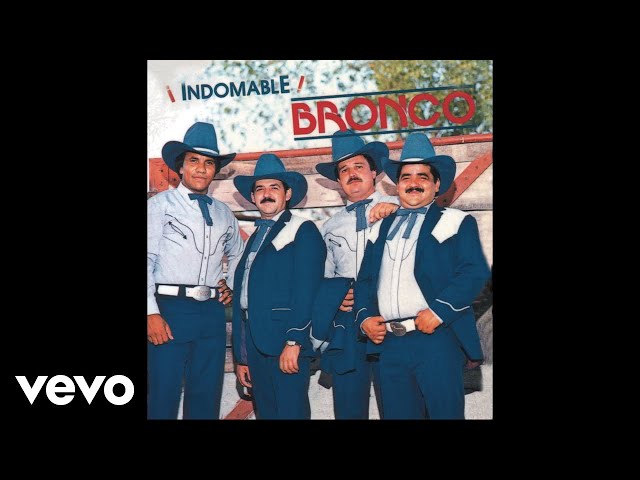 Bronco - Los Vicios