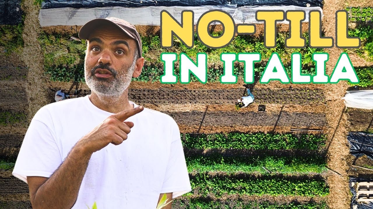 Agroforestazione e No-till, Come Funzionano? | con Dario Cortese