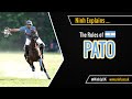 Pato Rules and Gameplay Quiz