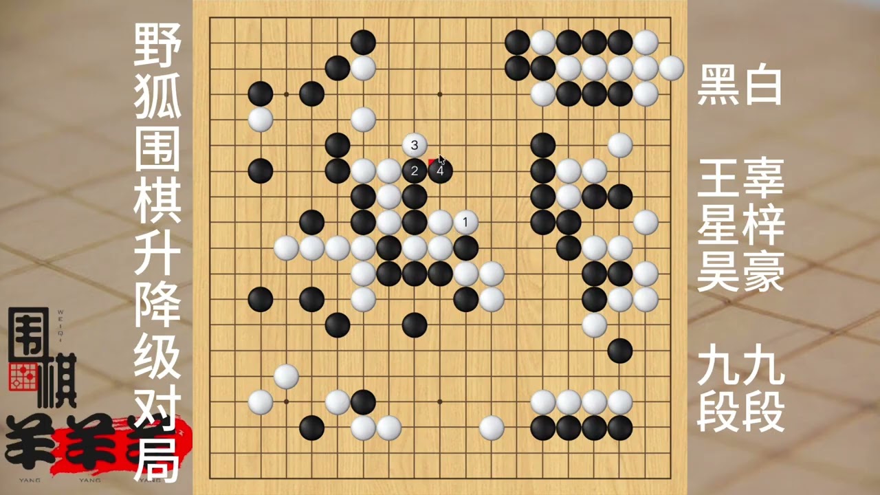 野狐圍棋升降級對局王星昊vs辜梓豪，白棋妙手一靠大龍巧妙做活 #合成 #頂級圍棋名局講解 #定式圍棋大全 #圍棋虎口講解 #寒假班