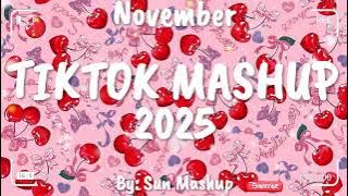 Tiktok Mashup November 💖2025💖 (Not Clean)