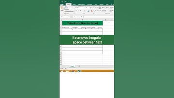 Trim function excel | remove irregular space #excel