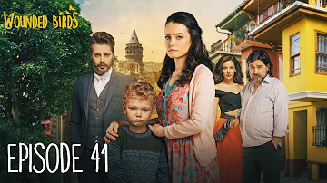 Wounded Birds - Episode 41 - [Multi Lang. Subtitles] Turkish Drama | Yaralı Kuşlar 2019