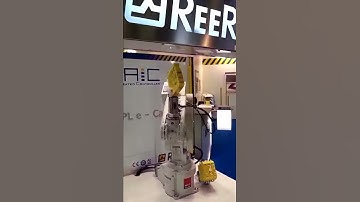 Logimatic Reer Levitazione.avi