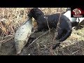 Black Mamba Catching Big Fish | Episode 9- Black Mamba: Born to Hunt