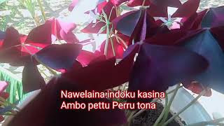 Download Lagu LAGU BUGIS INI SUDAH DAPAT IZIN RESMI Ifin H.Mustafa Bande# Mabbura mali#(cover Rio Zhaenal) MP3 Download Lagu LAGU BUGIS INI SUDAH DAPAT IZIN RESMI Ifin H.Mustafa Bande# Mabbura mali#(cover Rio Zhaenal) MP3