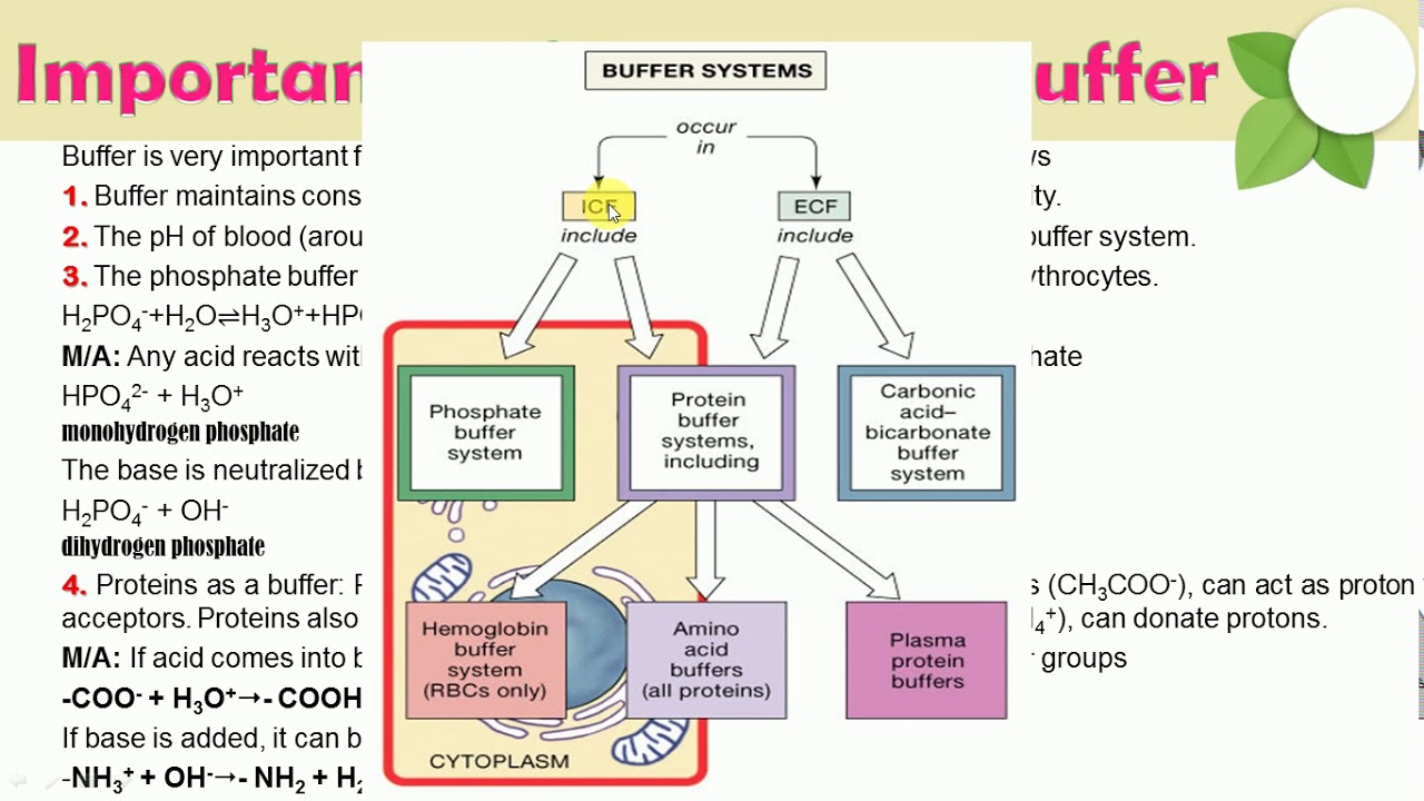 Buffer Capacity 03 Buffers in pharmaceutical and biological systems