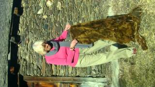 Viatges Sant Julià Christine Vous Présente Lhistoire De Lours