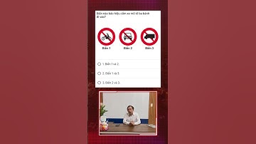 Cùng tìm hiểu xem loại biển nào cấm xe ba bánh🚙 #daylaixebinhduong #meolaixe #tintuc