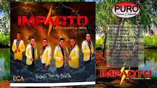 Impacto de Tuzantla 2021 -  Trabajo Por Mi Cuenta (Álbum)