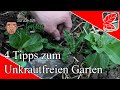 4 Tipps zum Unkrautfreien Gemüse Garten