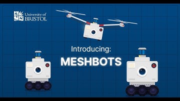 Meshbots
