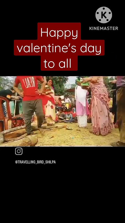 traveling bird Shilpa #shorts #short#shortvideoviral #shortsvideo