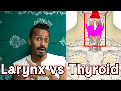 Larynx vs Thyroid Cartilage