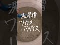 【洗濯槽ワカメパラダイス】#暮らしの工夫 #暮らしのアイデア #暮らしを整える