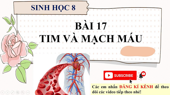 So sánh động mạch và tĩnh mạch sinh 8 năm 2024