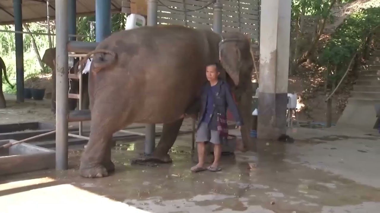 รายการ “พฤหัสเช้า ข่าว สพฐ.” ช่วง เรื่องเล่า ข่าว สพฐ. ครั้งที่ 6/2569 ( Part 2/10 )
