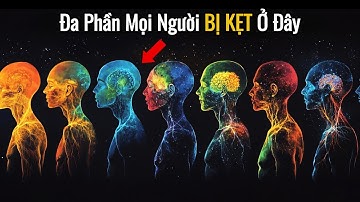 7 Giai Đoạn Của Ý THỨC – Chỉ Có 1 Giai Đoạn Sẽ Giải Thoát Bạn