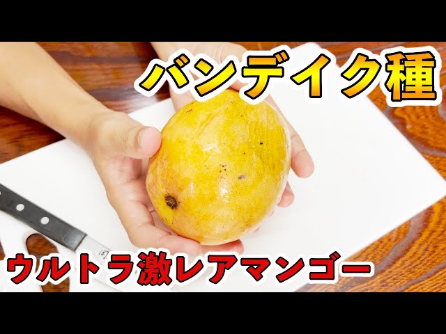 Food review of the extremely rare mango 