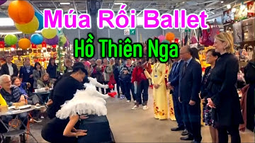 [Múa Rối Đặc Sắc] BALLET HỒ THIÊN NGA | Biểu Diễn: Nhà Hát Múa Rối Việt Nam