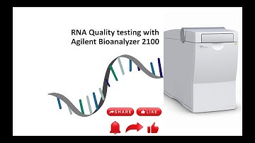 RNA quality testing with Agilent 2100 Bioanalyzer
